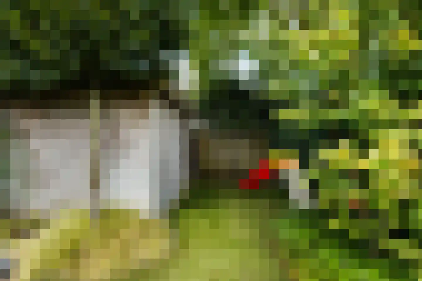 Munsel 53 Boxtel thumbnail 59