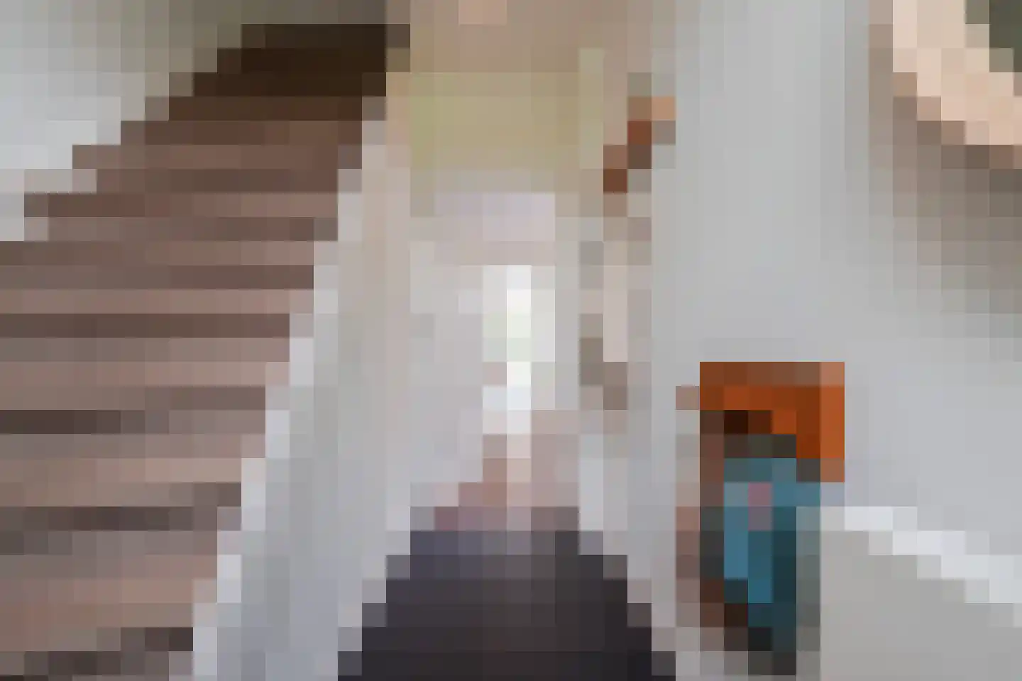 Munsel 53 Boxtel thumbnail 6