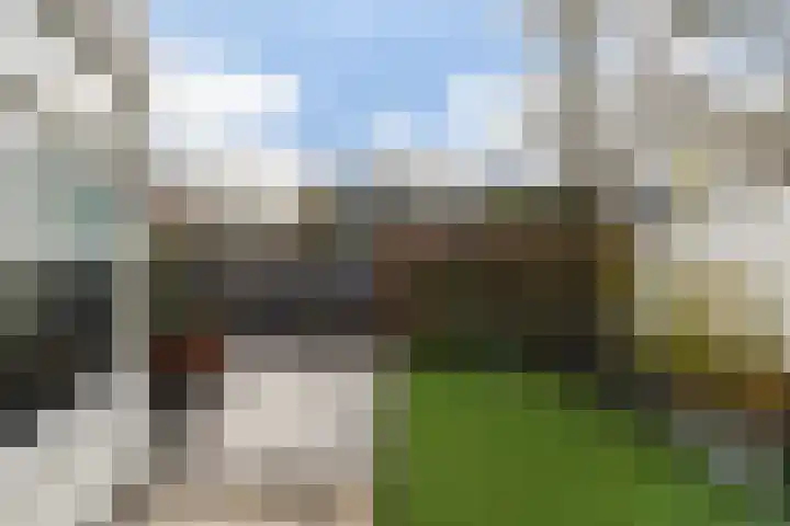 Munsel 62 Boxtel thumbnail 49