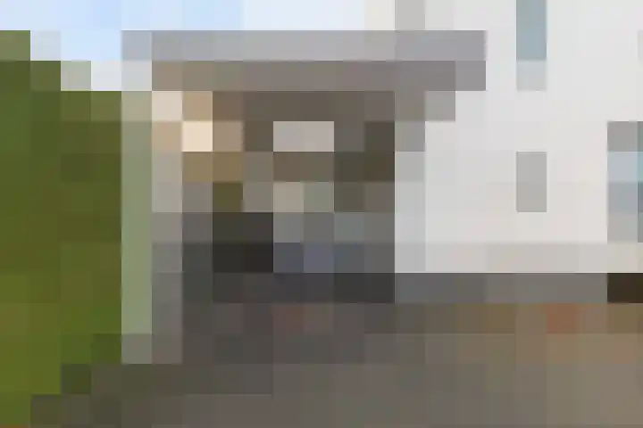 Munsel 62 Boxtel thumbnail 5