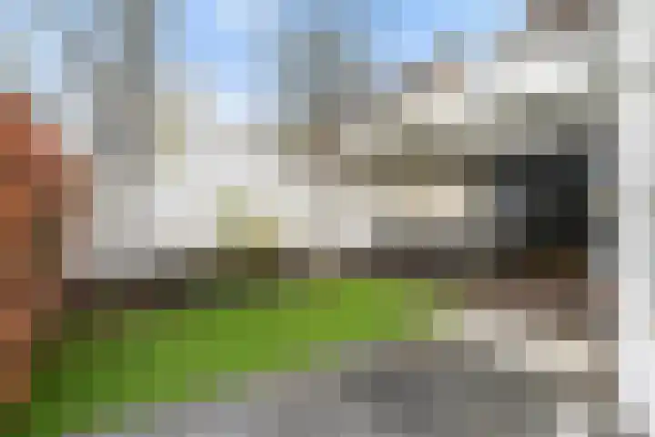Munsel 62 Boxtel thumbnail 59