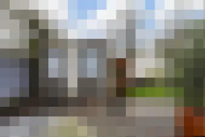 Munsel 62 Boxtel thumbnail 61