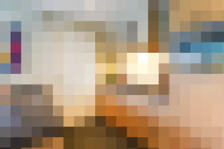Munsel 82 Boxtel thumbnail 31