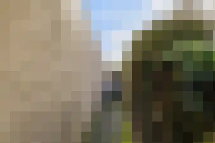 Munsel 82 Boxtel thumbnail 61