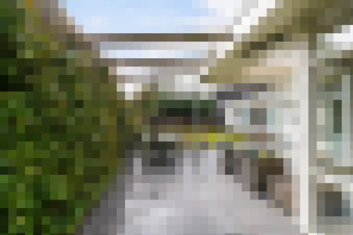 Munsel 82 Boxtel thumbnail 64