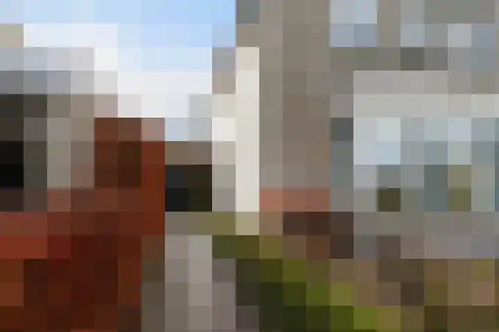 Munsel 82 Boxtel thumbnail 7