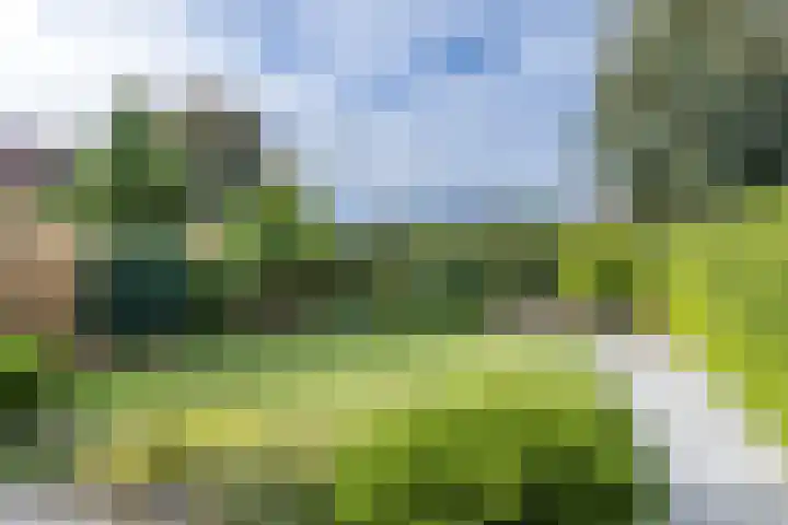 Munster 4 Munstergeleen thumbnail 19