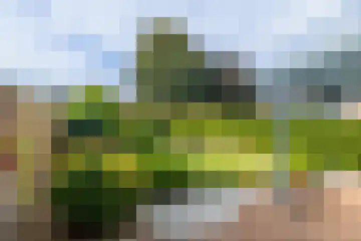 Munster 4 Munstergeleen thumbnail 20