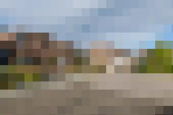 Munster 4 Munstergeleen thumbnail 35