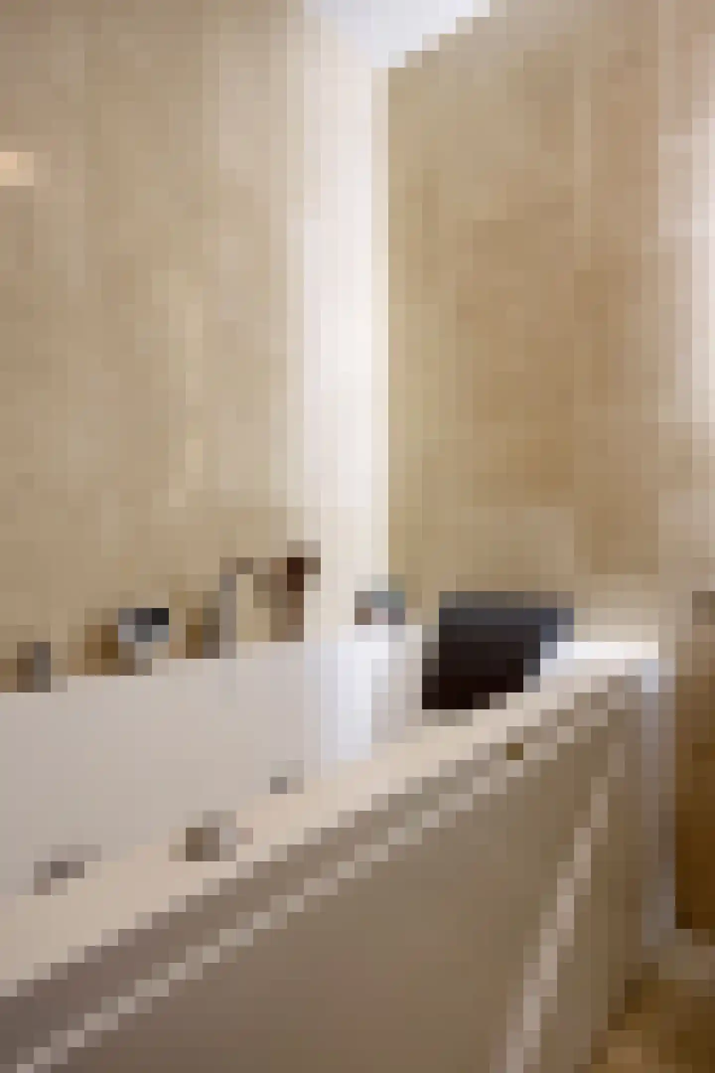 Munstergeleenhof 2 Tilburg thumbnail 20