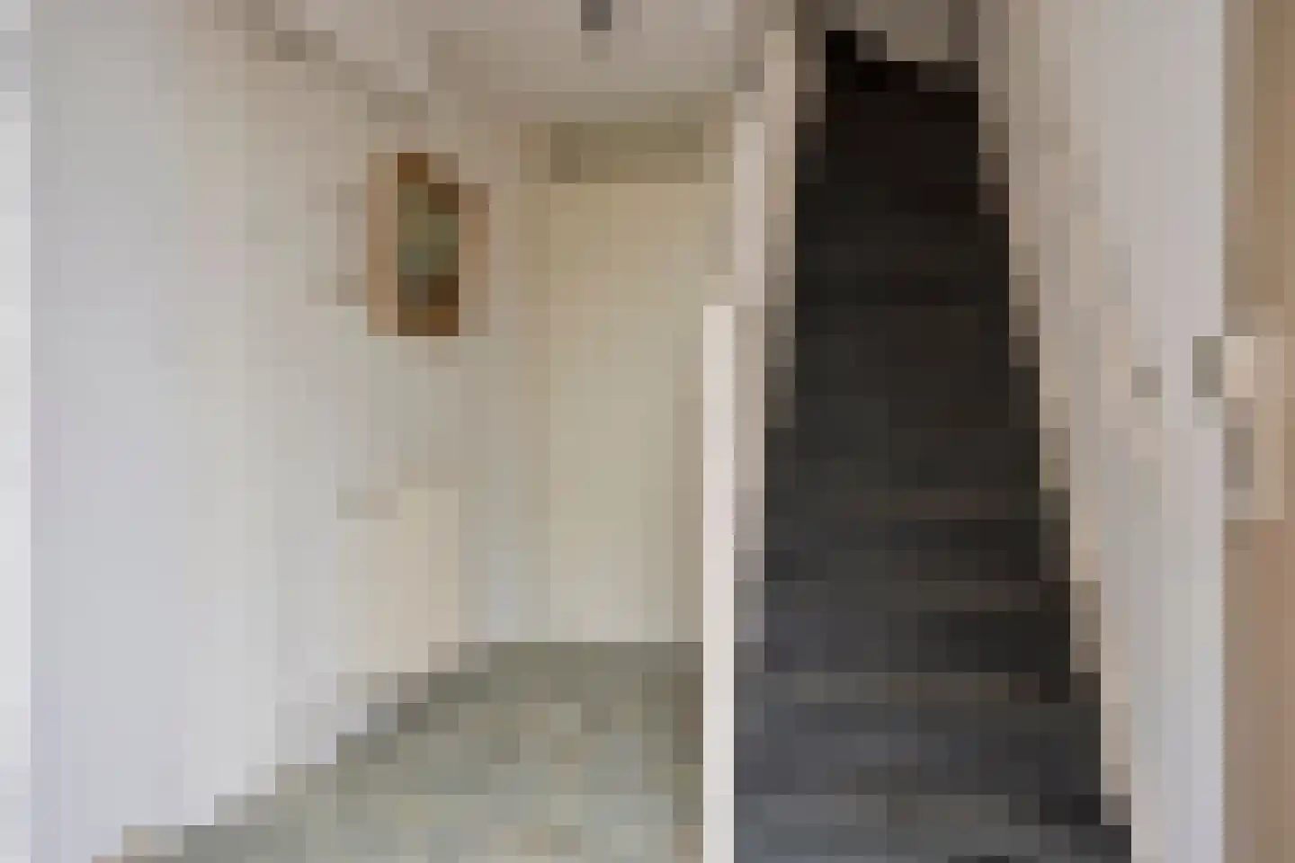Munstergeleenhof 2 Tilburg thumbnail 5