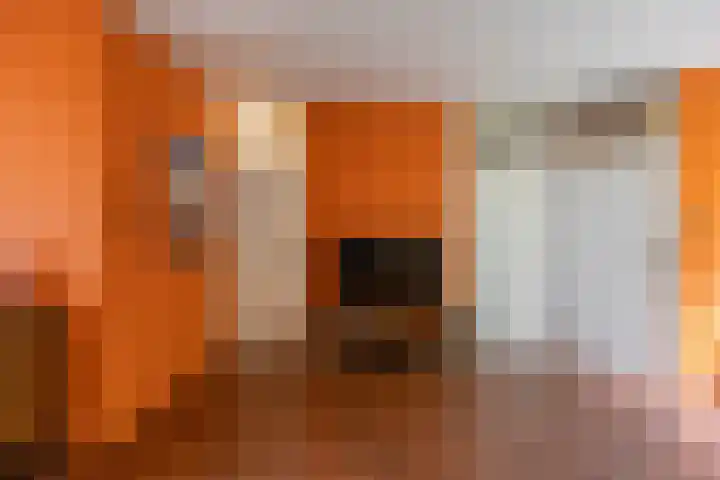 Munsterheerd 95 Groningen thumbnail 11