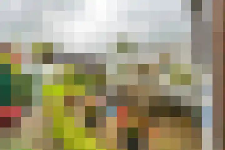 Munsterheerd 95 Groningen thumbnail 19