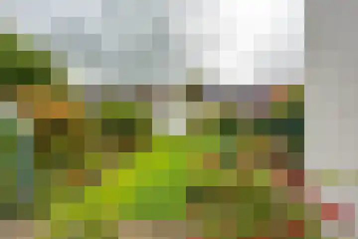 Munsterheerd 95 Groningen thumbnail 20