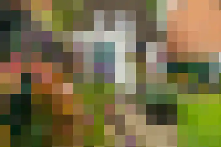 Munsterheerd 95 Groningen thumbnail 23