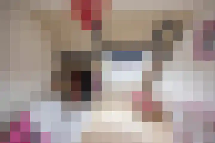 Munsterheerd 95 Groningen thumbnail 29