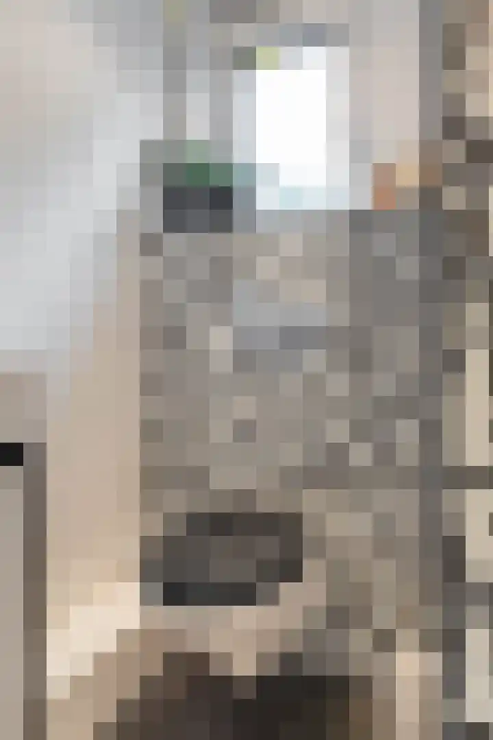 Munsterheerd 95 Groningen thumbnail 38