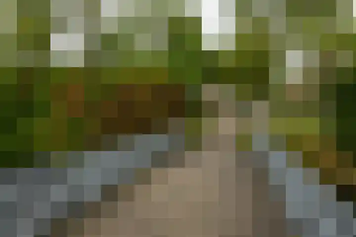 Munsterheerd 95 Groningen thumbnail 44