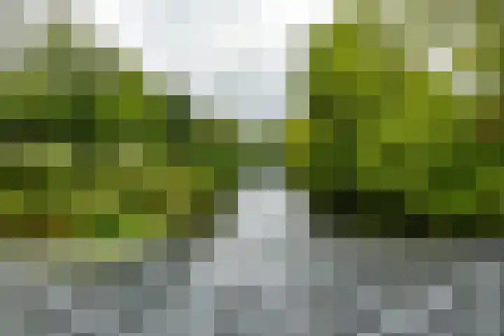Munsterheerd 95 Groningen thumbnail 45