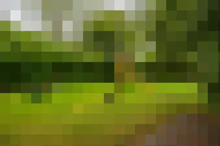 Munsterheerd 95 Groningen thumbnail 46