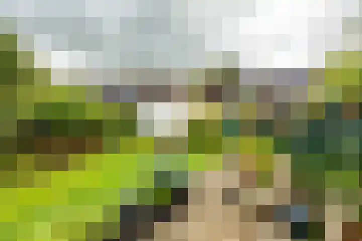 Munsterheerd 95 Groningen thumbnail 5