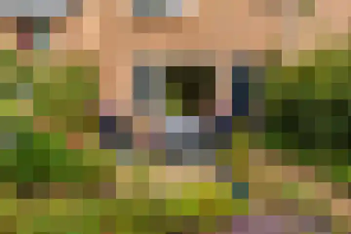 Munsterheerd 95 Groningen thumbnail 7