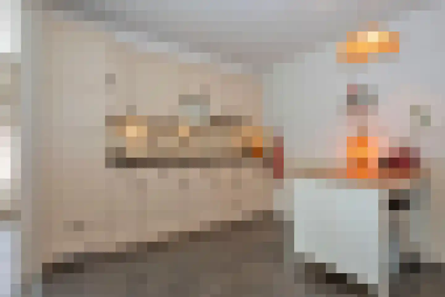 Munsterhof 11 Rijssen thumbnail 11