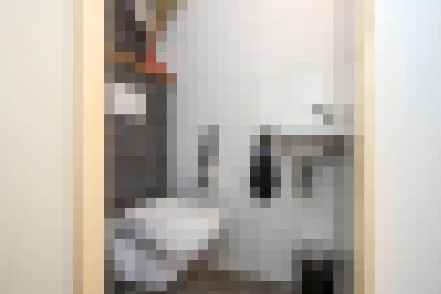 Munsterhof 11 Rijssen thumbnail 17