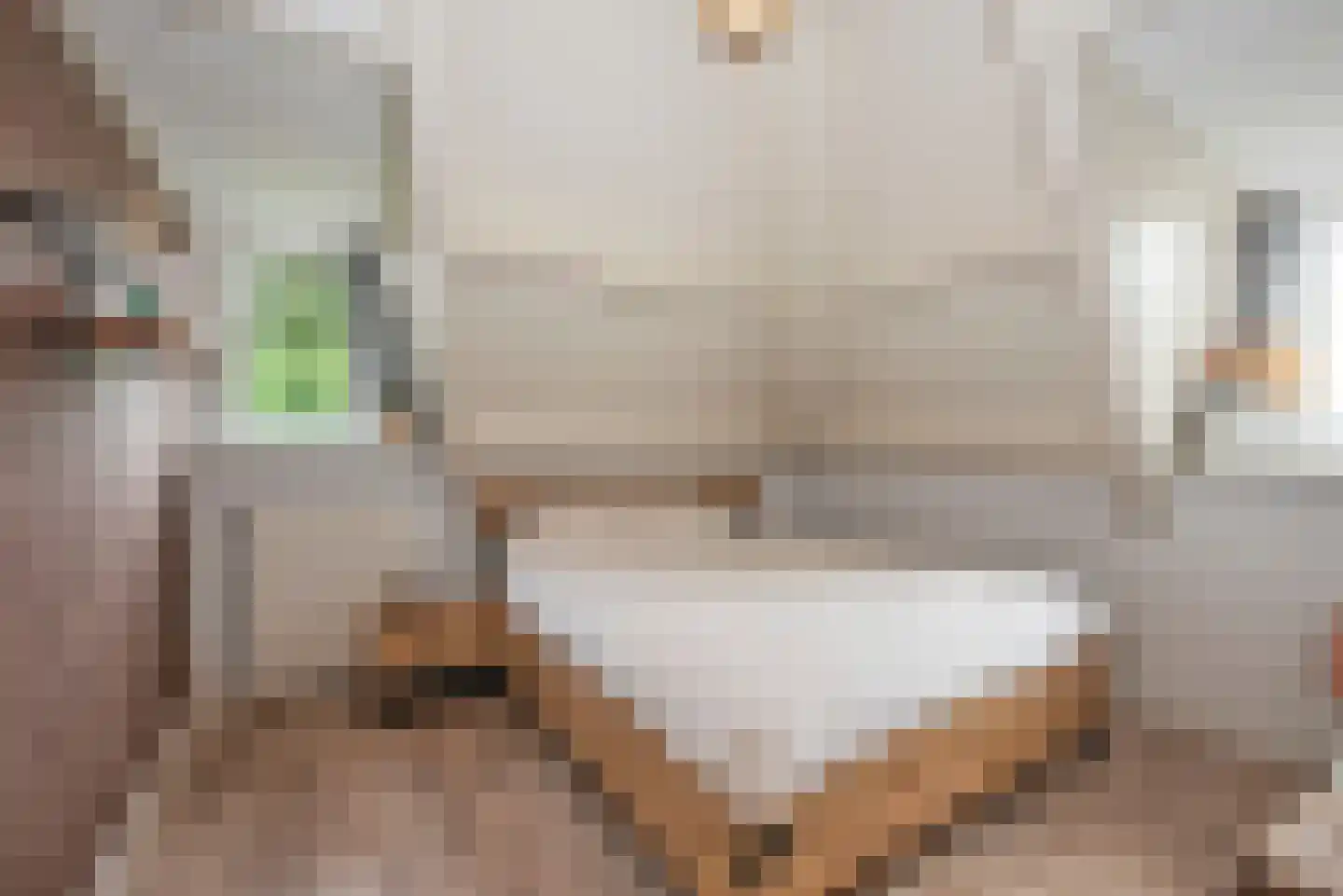 Munsterhof 11 Rijssen thumbnail 24