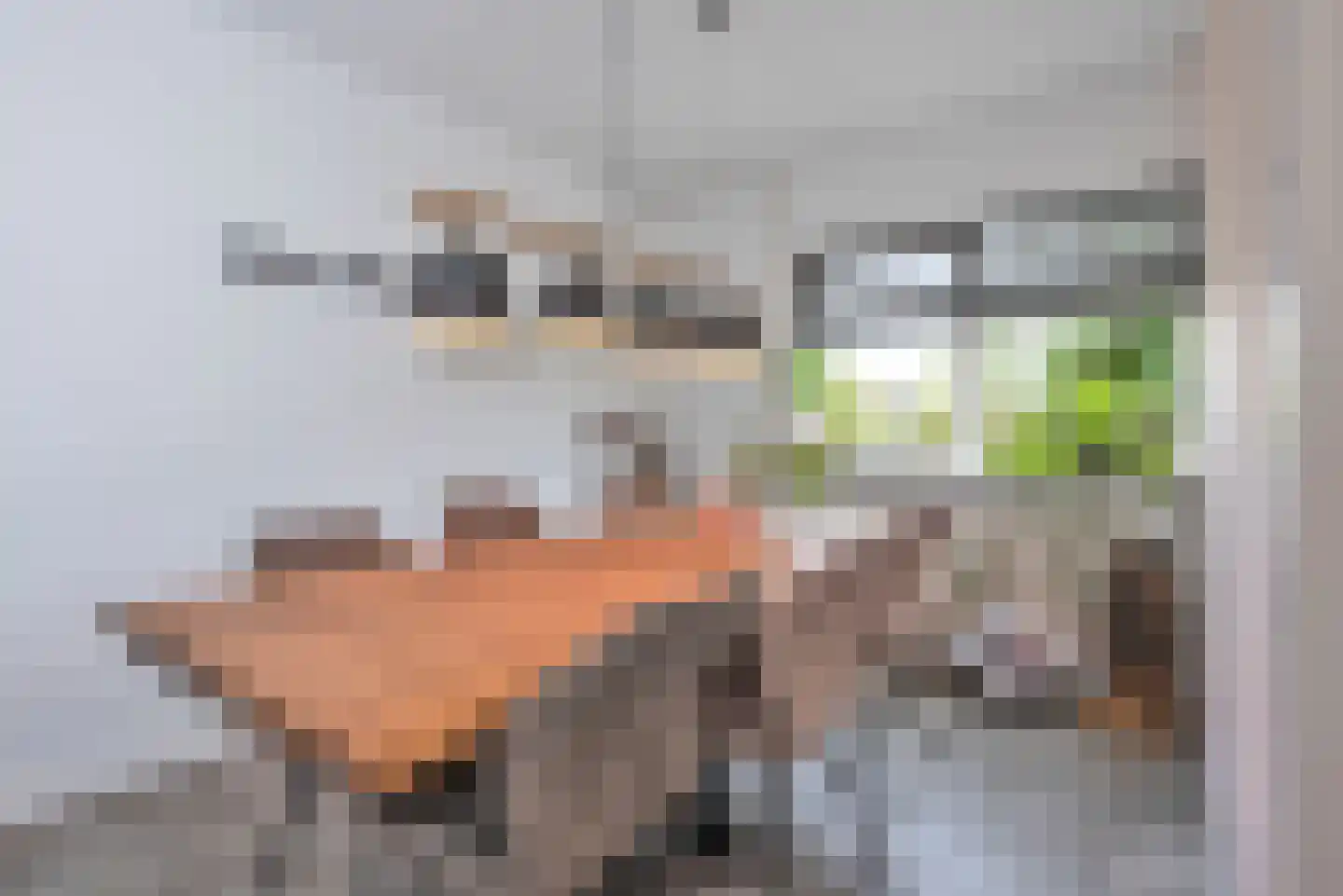 Munsterhof 11 Rijssen thumbnail 8