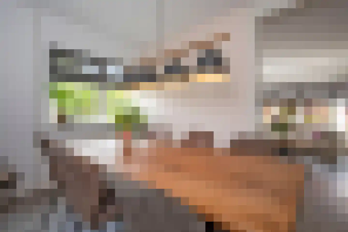 Munsterhof 11 Rijssen thumbnail 9