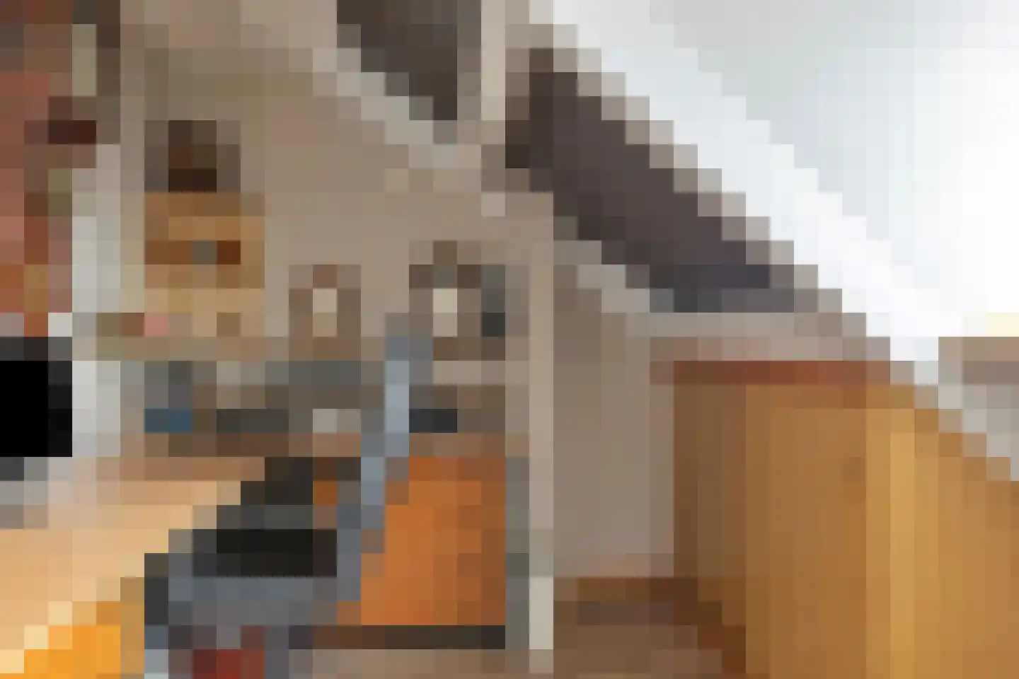 Munsterhof 5 Rijssen thumbnail 20