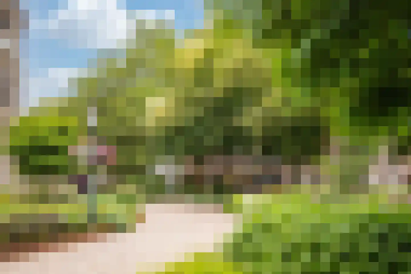 Munsterplein 15 Roermond thumbnail 15
