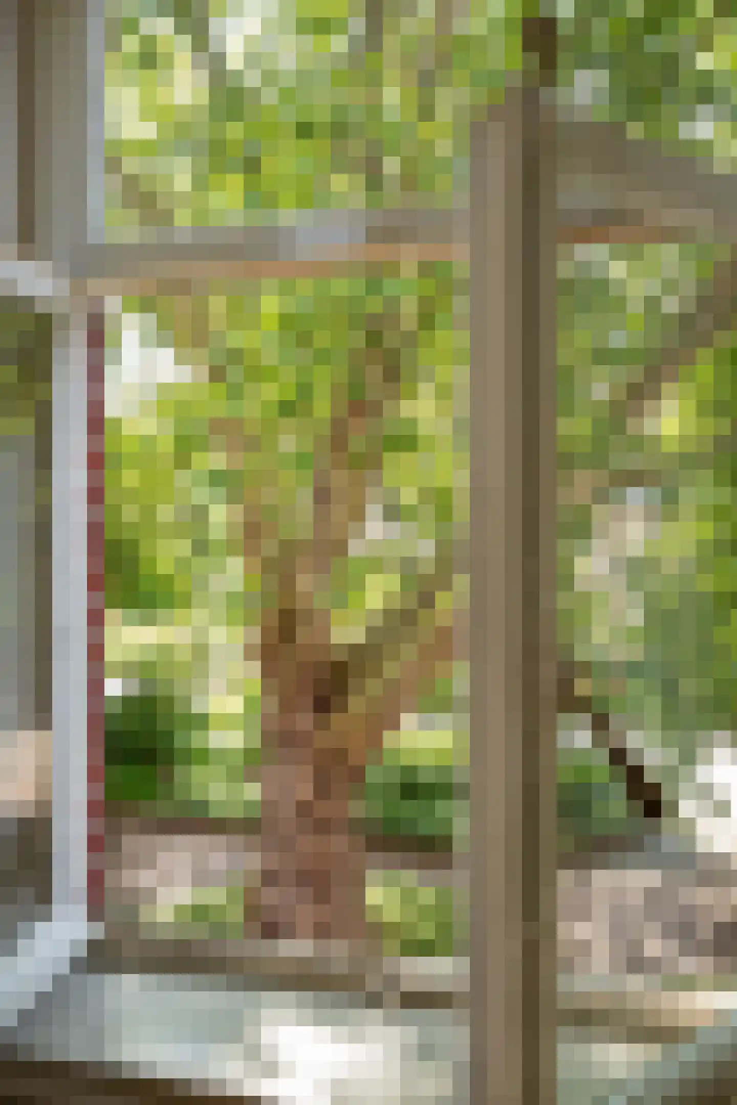 Munsterplein 15 Roermond thumbnail 5
