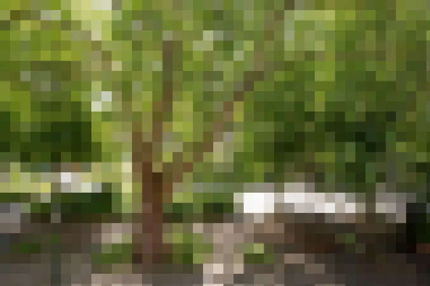 Munsterplein 15 Roermond thumbnail 6