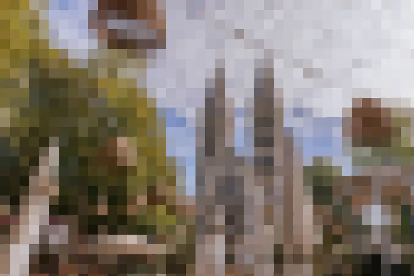 Munsterplein 2 B Roermond thumbnail 13
