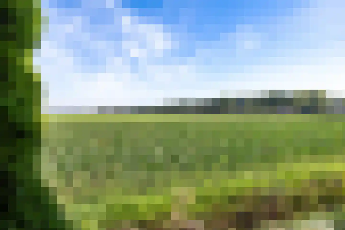 Munsterseweg 62 Emmer-Compascuum thumbnail 39
