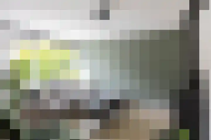Munsterweg 17 Winsum thumbnail 12