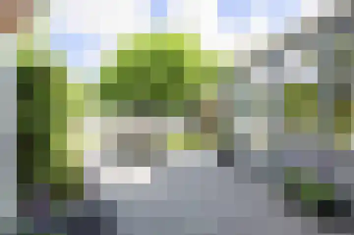 Munsterweg 17 Winsum thumbnail 38