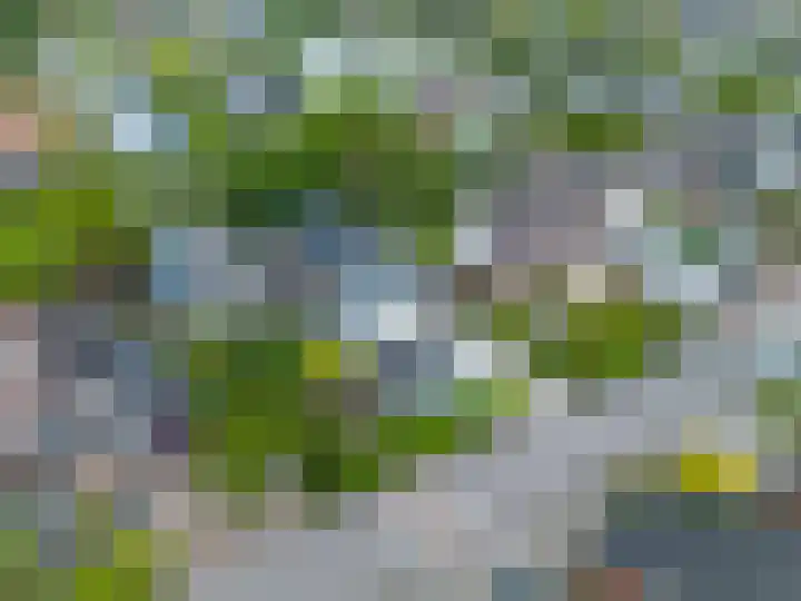 Munsterweg 17 Winsum thumbnail 43