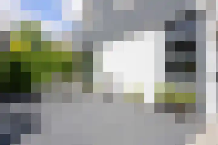 Munsterweg 17 Winsum thumbnail 5