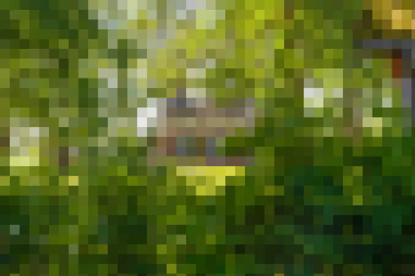 Munsterweg 3 Gendringen thumbnail 58