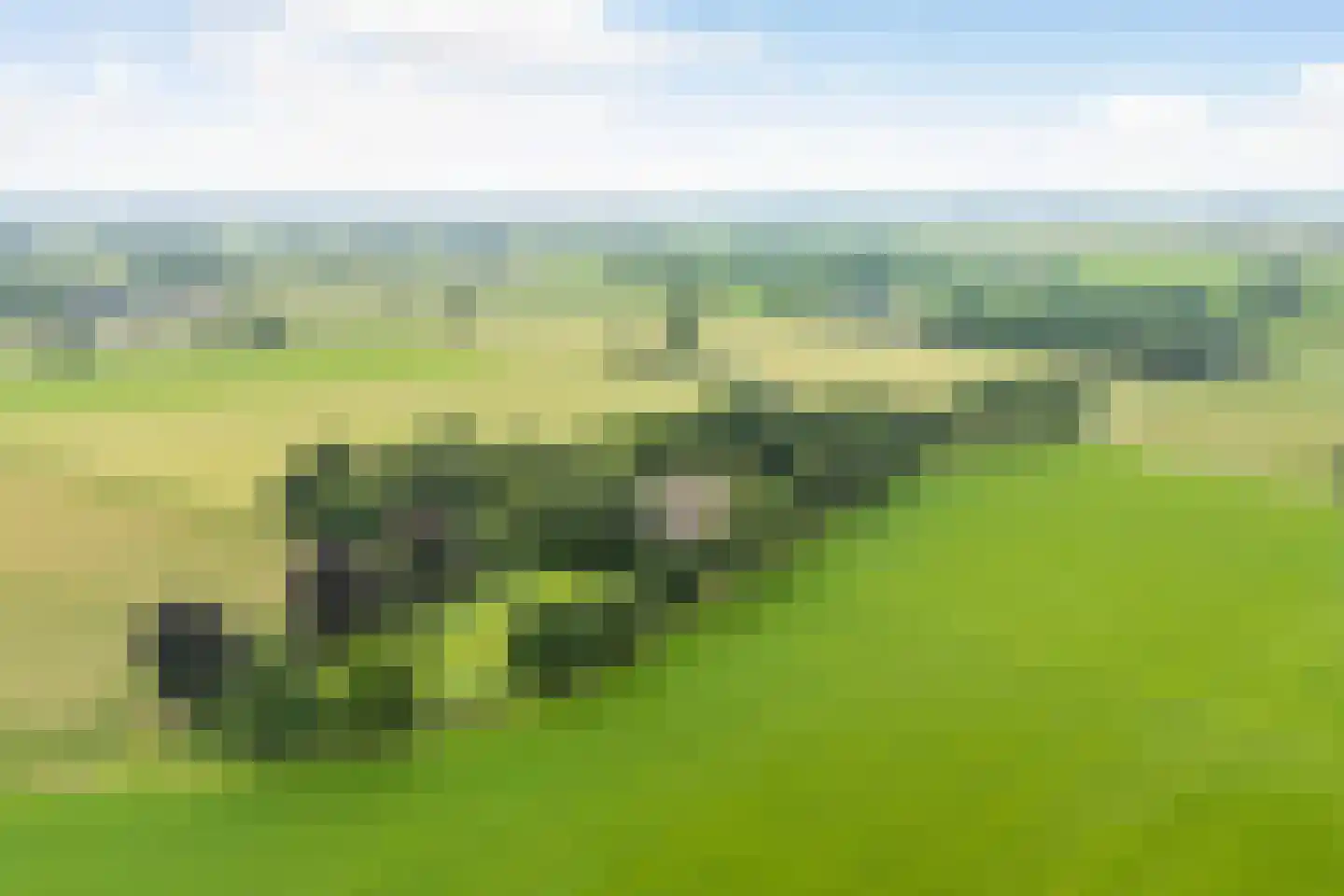 Munsterweg 3 Gendringen thumbnail 6