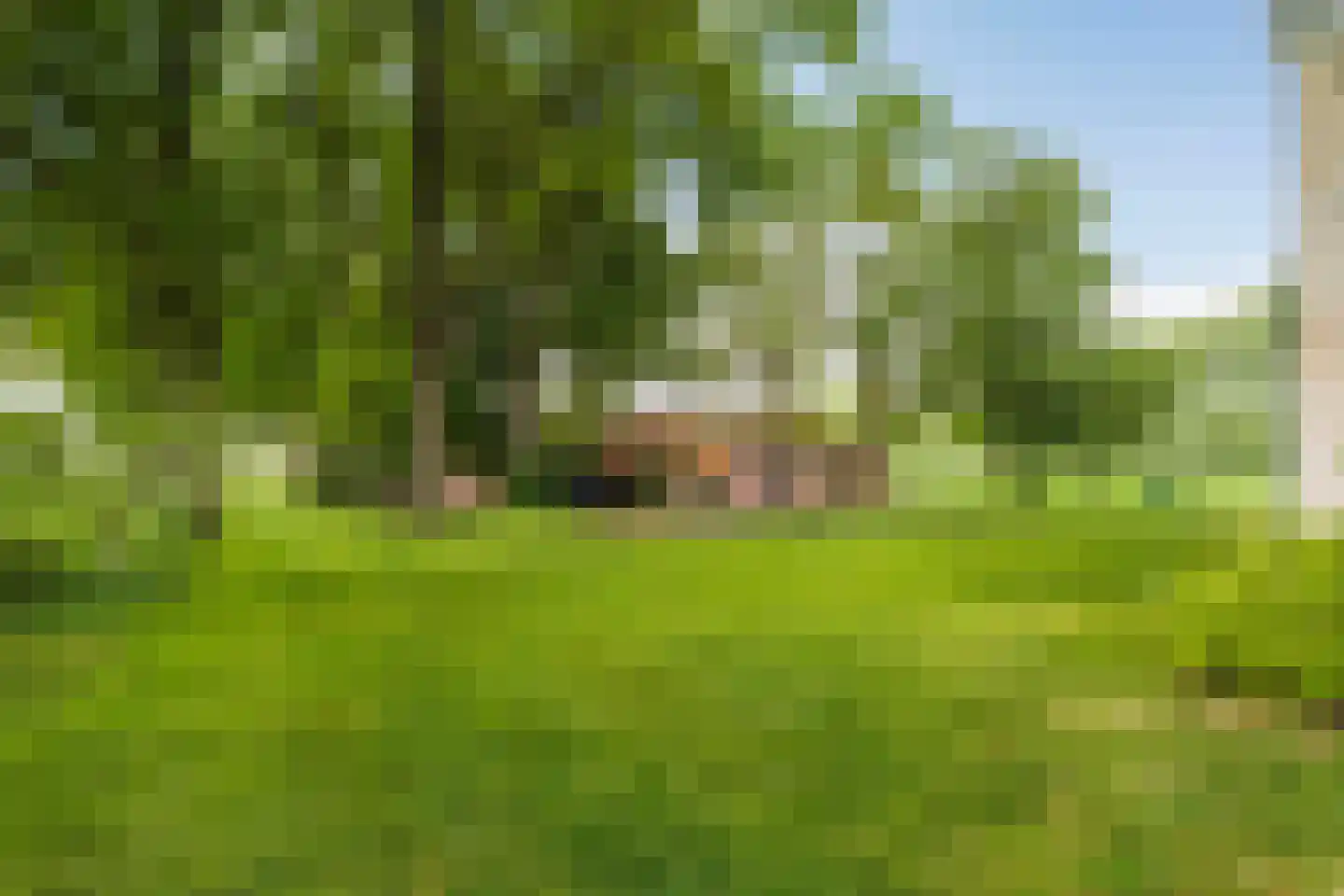 Munsterweg 3 Gendringen thumbnail 64