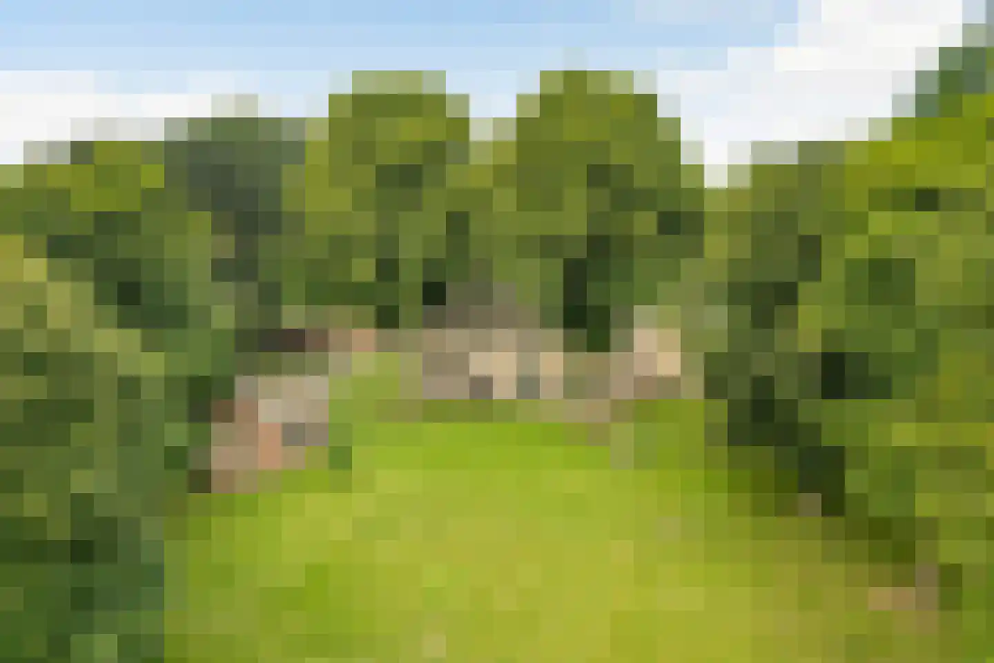 Munsterweg 3 Gendringen thumbnail 67