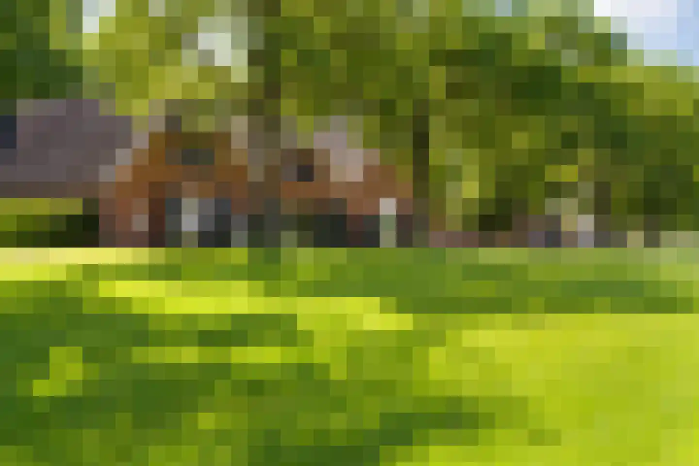 Munsterweg 3 Gendringen thumbnail 70