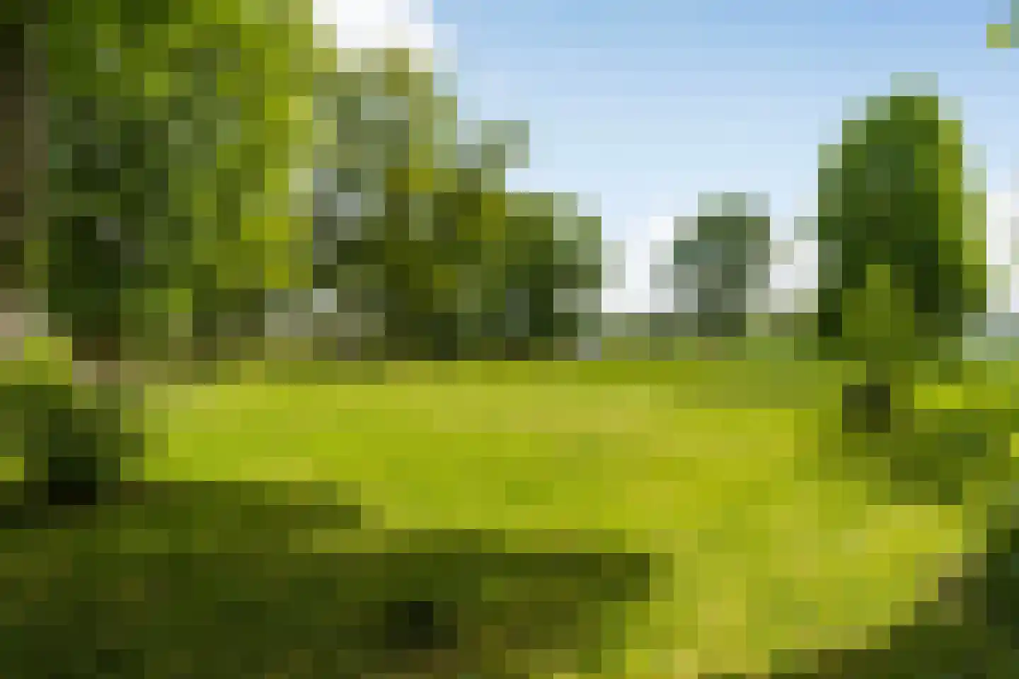 Munsterweg 3 Gendringen thumbnail 71