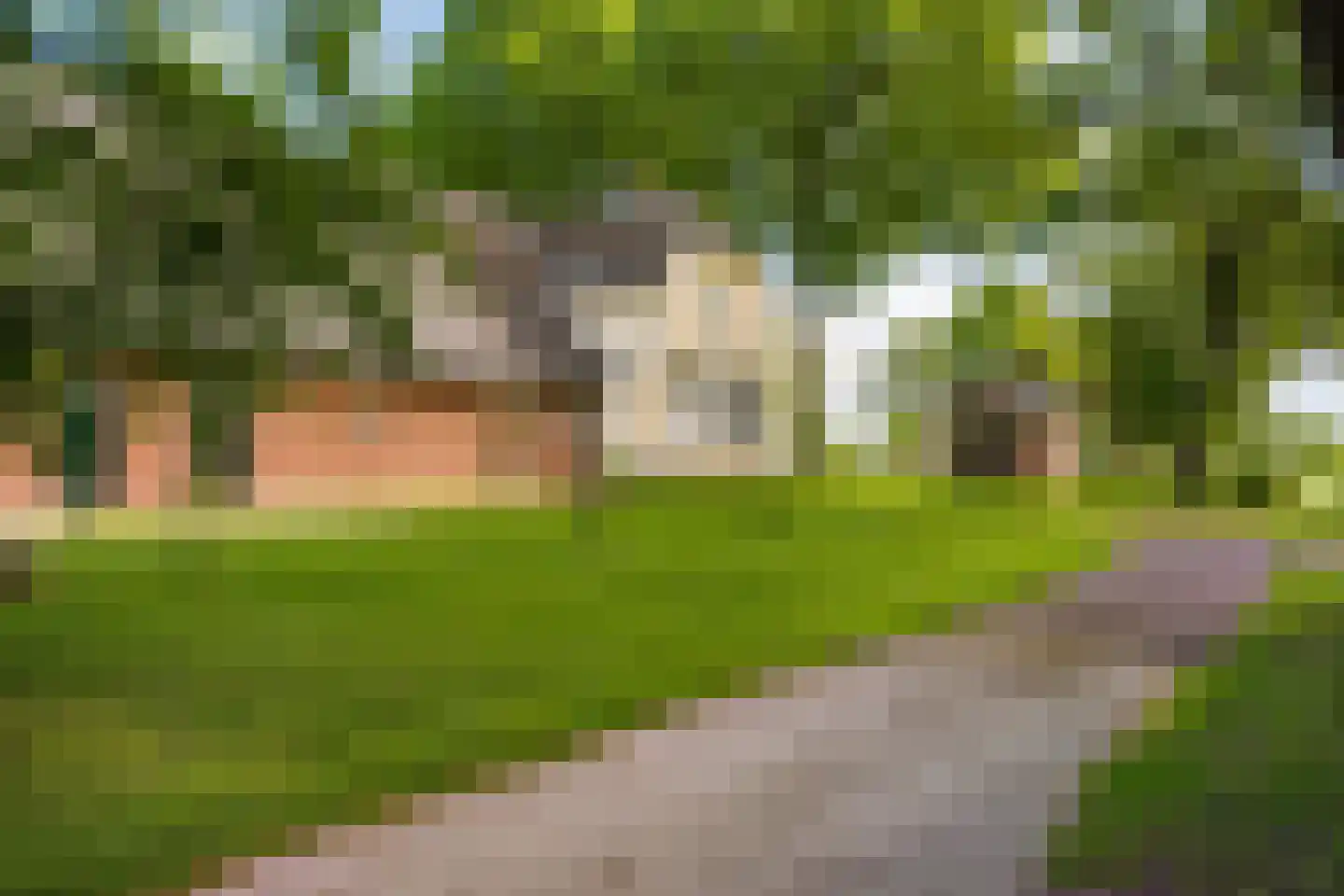 Munsterweg 3 Gendringen thumbnail 73