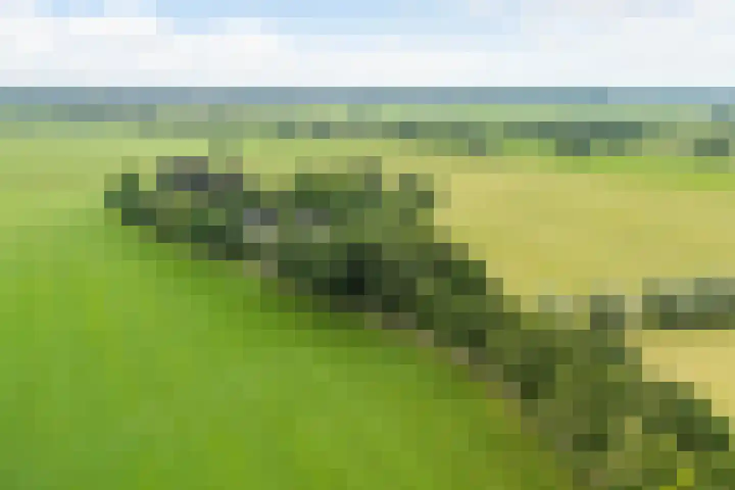 Munsterweg 3 Gendringen thumbnail 74