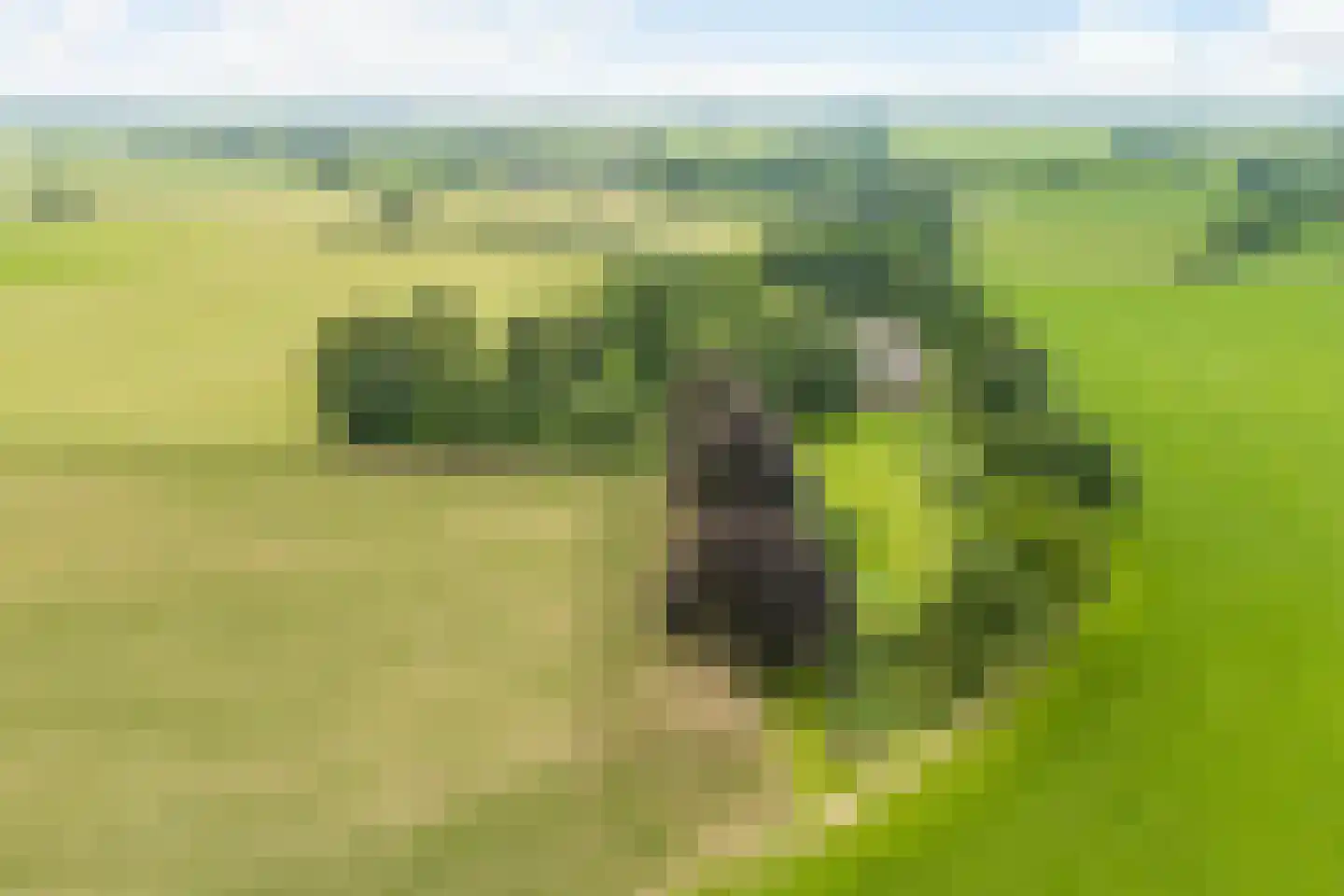 Munsterweg 3 Gendringen thumbnail 76
